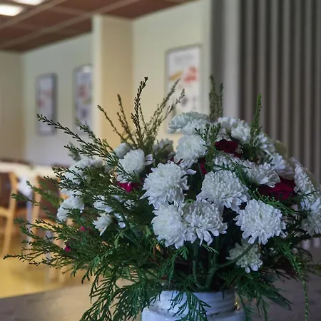 Pielinen 酒店 Vuonislahti