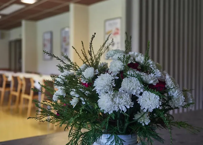 Pielinen Hotelli Vuonislahti